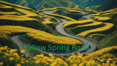 Yellow Spring Road