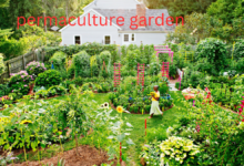 permaculture garden