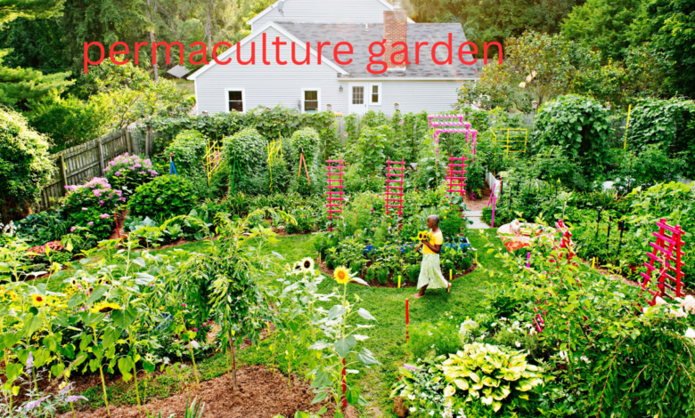 permaculture garden