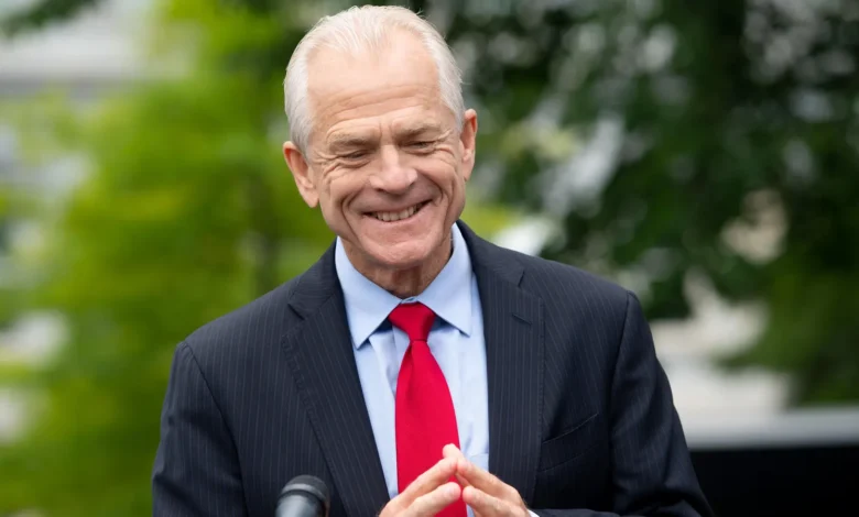 peter navarro net worth