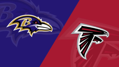 atlanta falcons vs baltimore ravens match player stats​