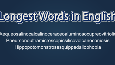 longest word