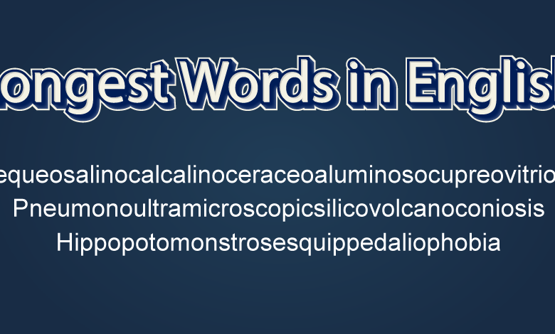 longest word